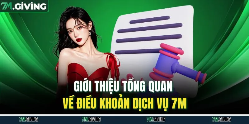 Giới thiệu tổng quan về điều khoản dịch vụ 7M